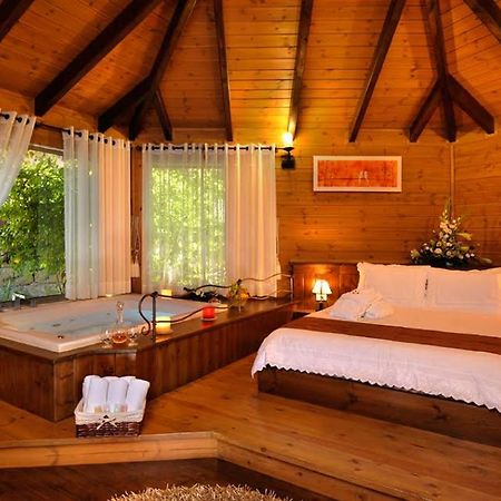 Talia Cabin Guest & Spa Rosh Pinna Luaran gambar